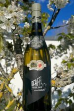 Pfaffl Riesling vom Haus 6 fl